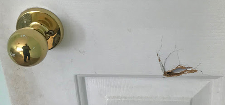 interior door hole repair Santee